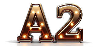 a2 size logo